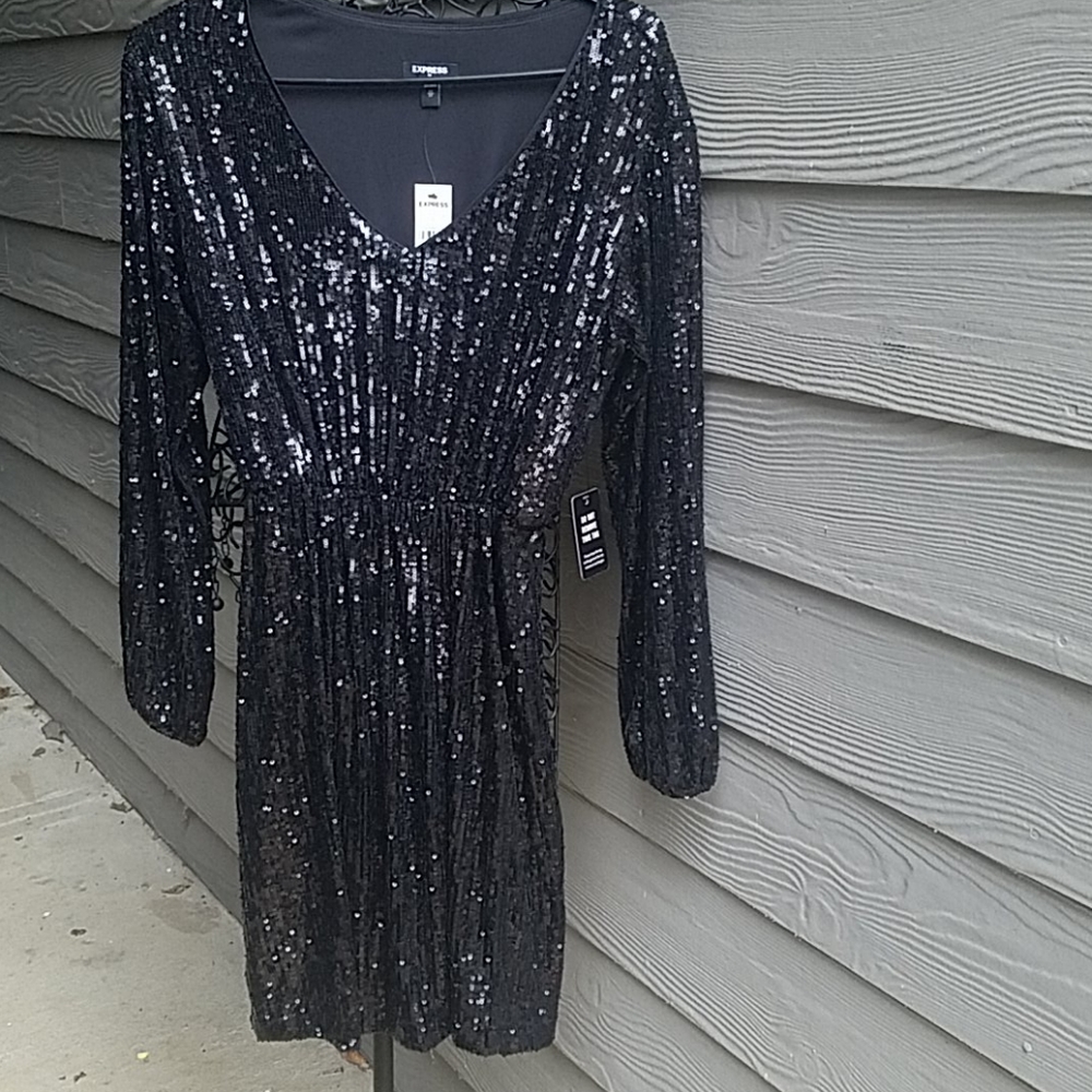 Express Sequins Dress
